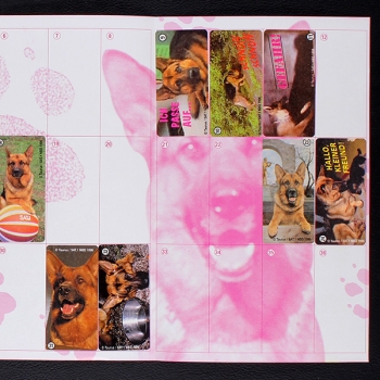 Preview: Kommissar Rex dunkin Sticker Folder - Kaugummi Bilder
