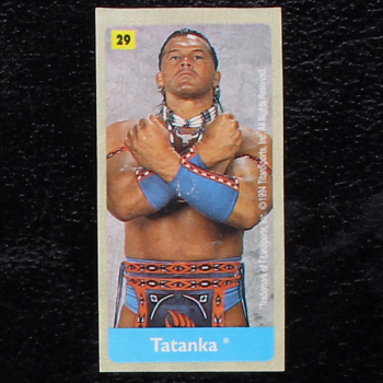 WWF Wrestling 1994 No. 29 / dunkin Sticker