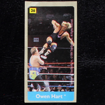 WWF Wrestling 1994 No. 36 / dunkin Sticker
