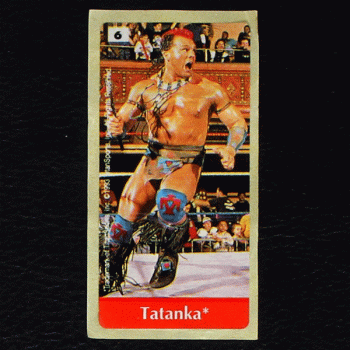 WWF Wrestling 1993 No. 6 / dunkin