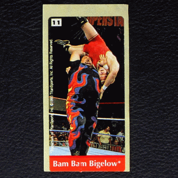 WWF Wrestling 1993 No. 11 / dunkin