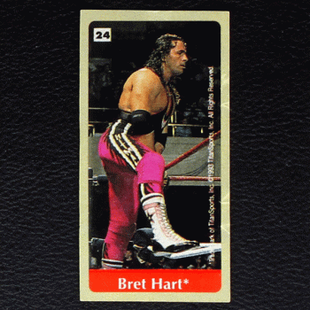 WWF Wrestling 1993 No. 24 / dunkin