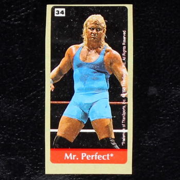 WWF Wrestling 1993 No. 34 / dunkin Sticker