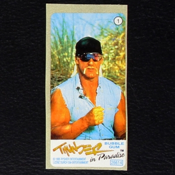 Thunder in Paradise No. 1 / Vidal
