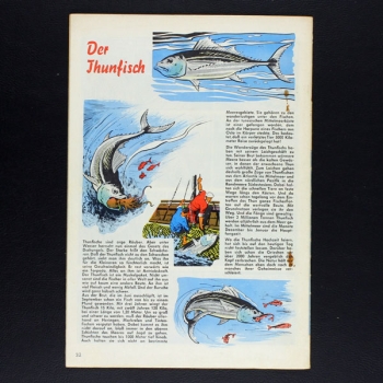 Preview: Felix mit Bessy Nr. 303 / Z2