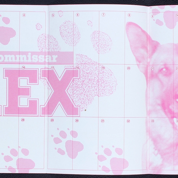 Kommissar Rex dunkin empty Folder - Bubble Gum