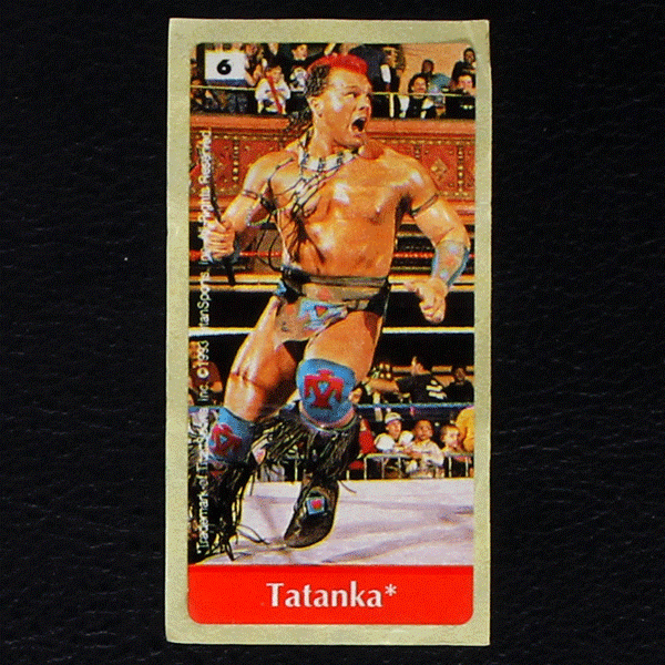 WWF Wrestling 1993 No. 6 / dunkin