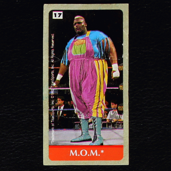 WWF Wrestling 1993 No. 17 / dunkin