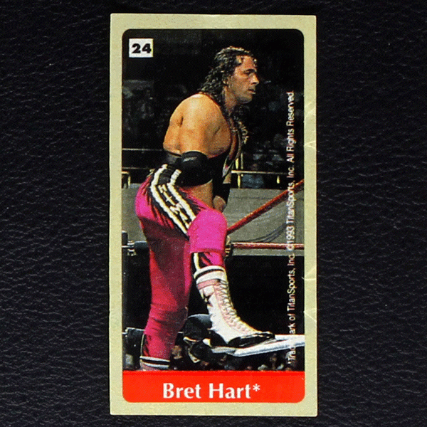 WWF Wrestling 1993 No. 24 / dunkin